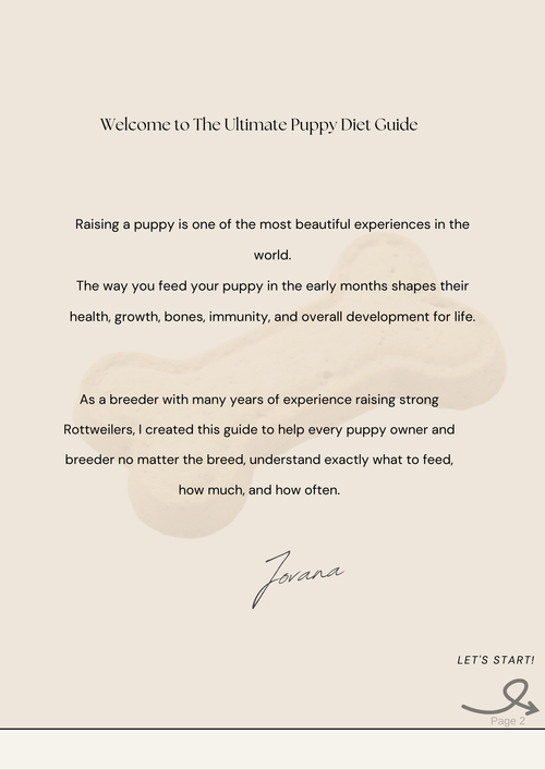 The Ultimate Puppy Diet Guide